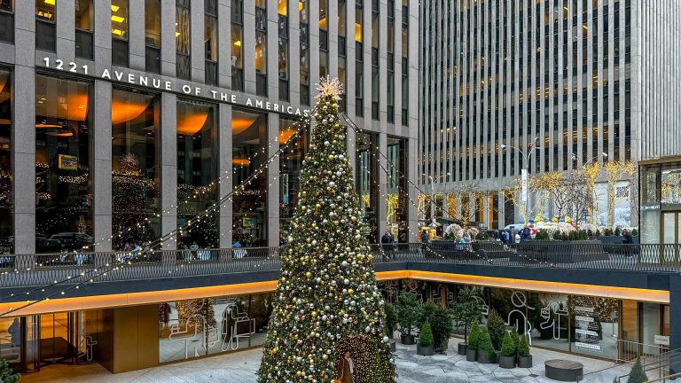 Best places to see Christmas Decorations in NYC.